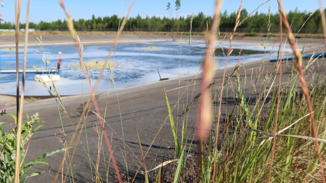 Ympäristövastuu Allas 2 taiteellinen