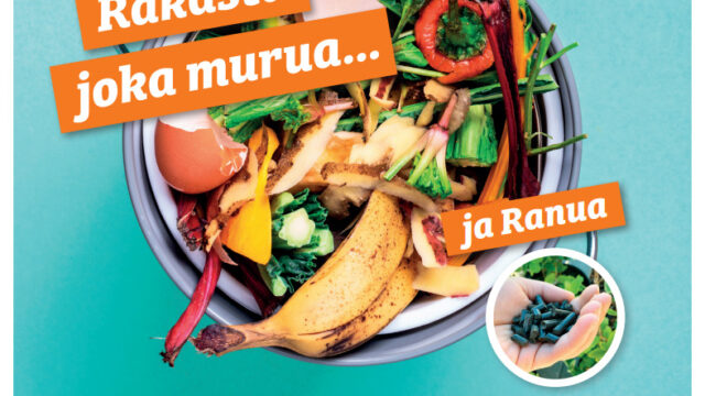 Kampanjajuliste