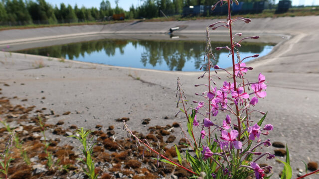 Ympäristövastuu varakuva_Web